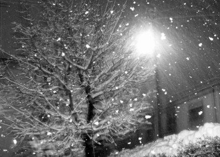 nevica